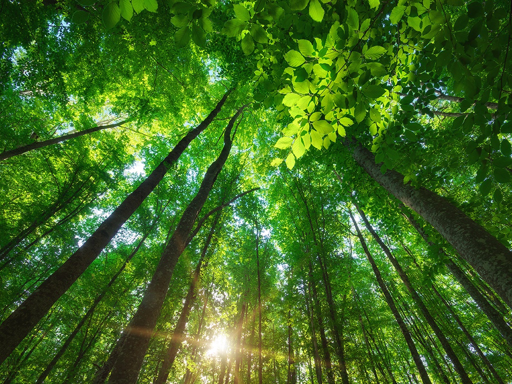 The calendar was produced utilizing recyclable and recycled paperboards.