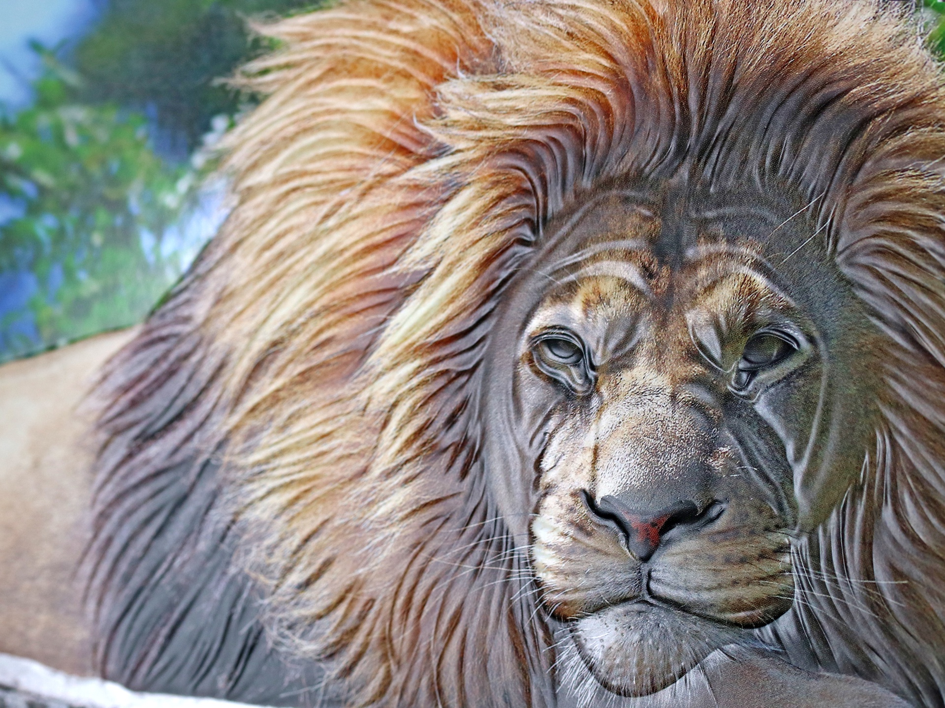 Four-color process printing delivers the WOW factor on the calendar and the pages.