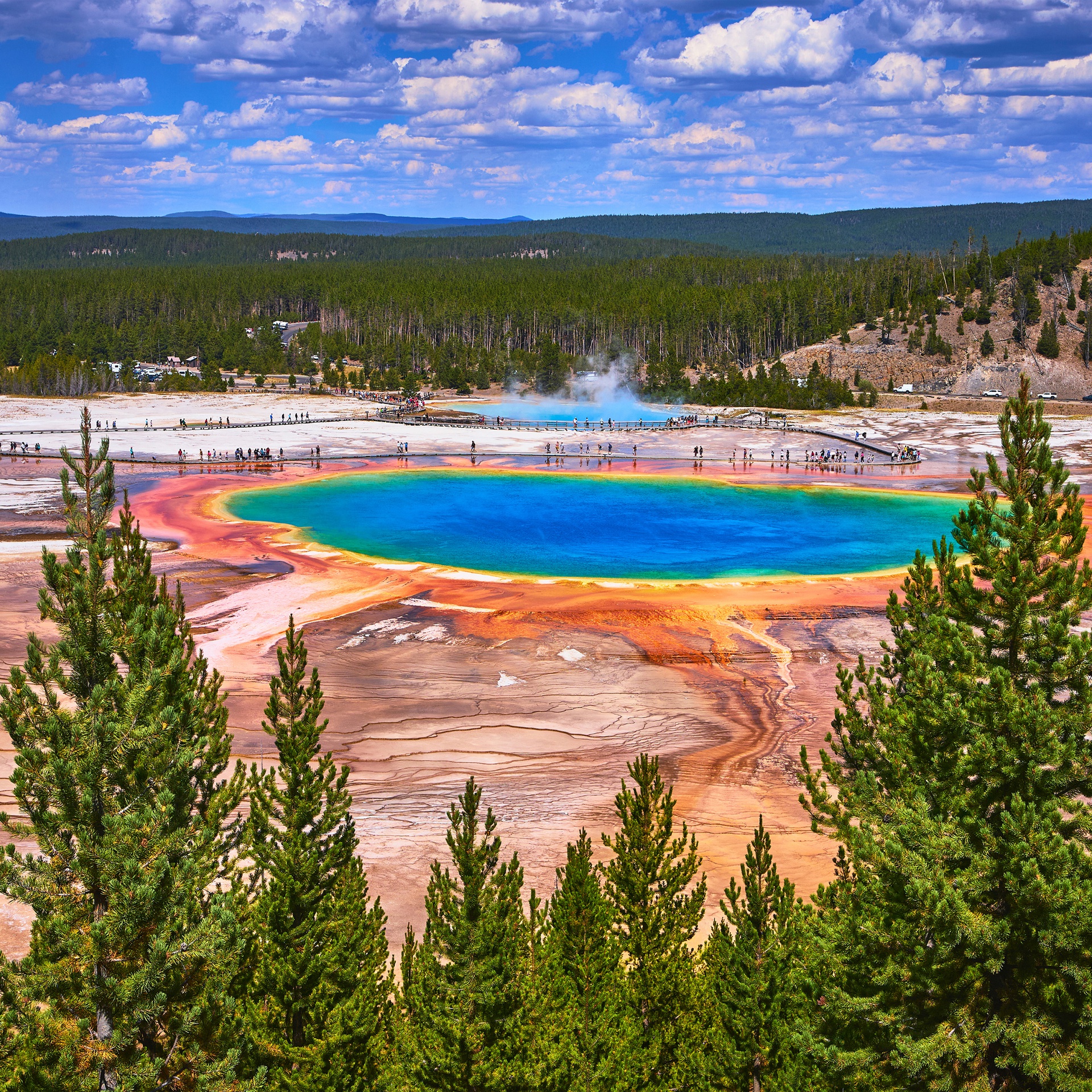 Yellowstone National Park features clear holographic cold foil