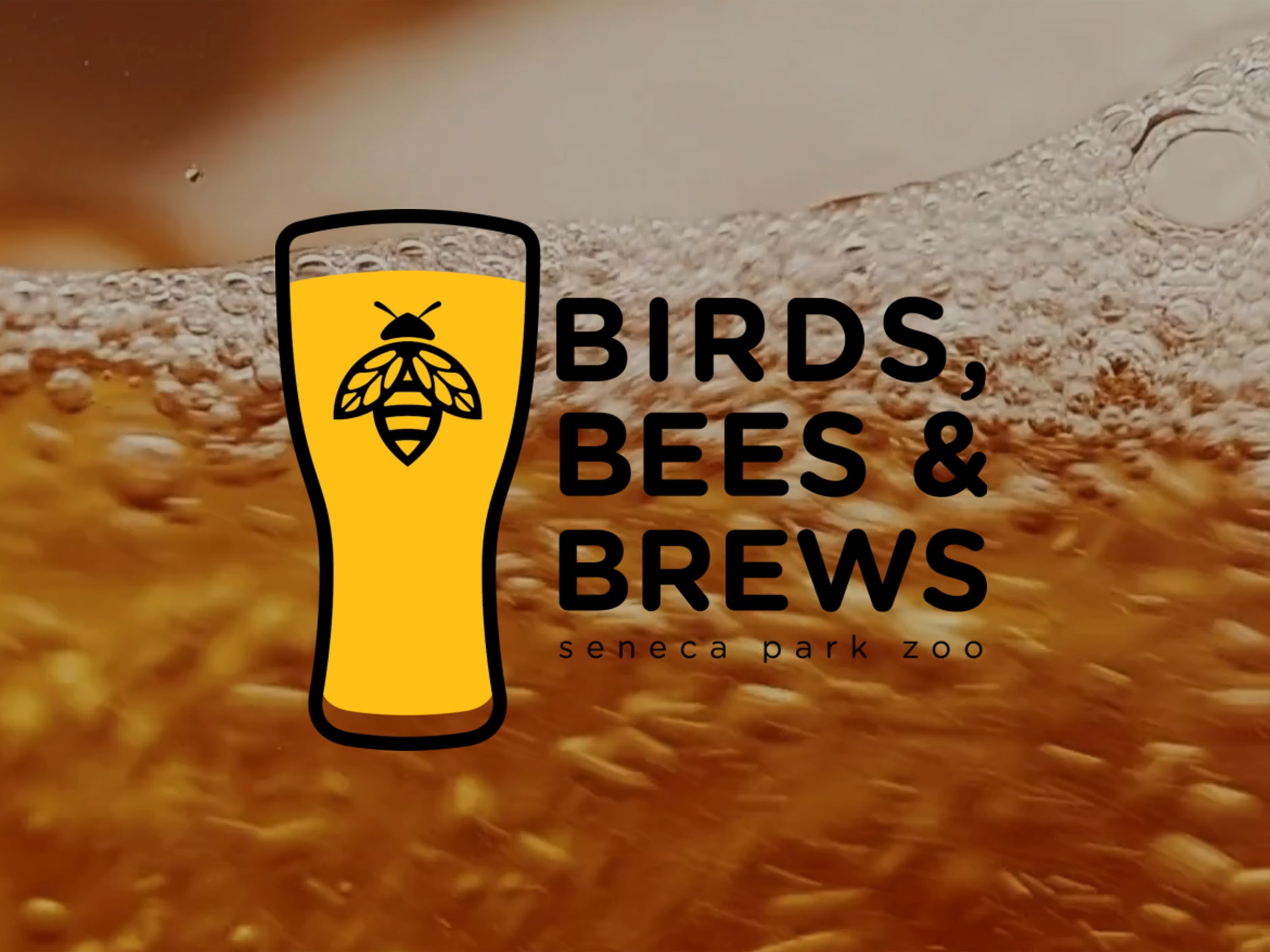 Diamond Packaging sponsored Birds, Bees & Brews at Seneca Park Zoo on May 1, 2026. The event paired delicious samples from regional breweries, coffee shops, and kombucha brewers with an up-close look